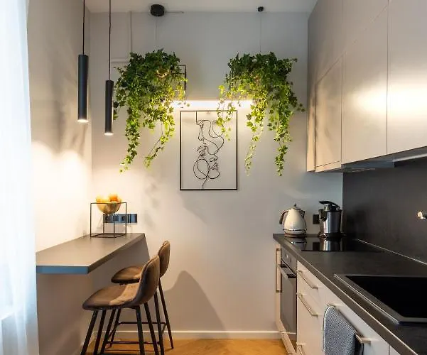 Old Town L Self Check In * Vilna